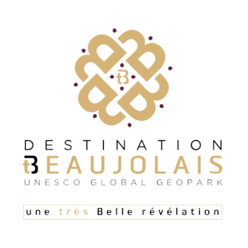 folgtfmbcorbxfvvb815